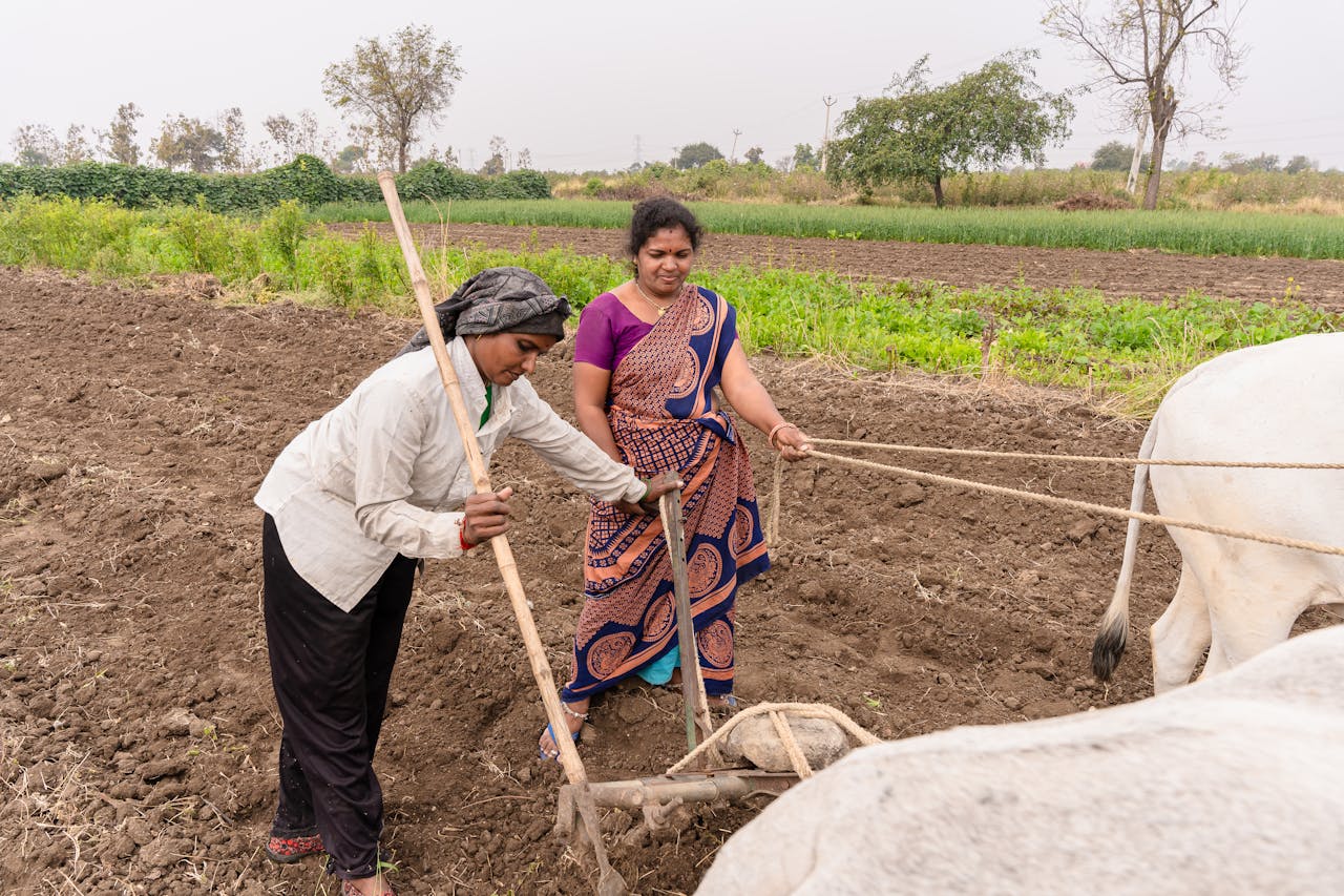 Women farmers using traditional methods in a field in Nagpur, India.